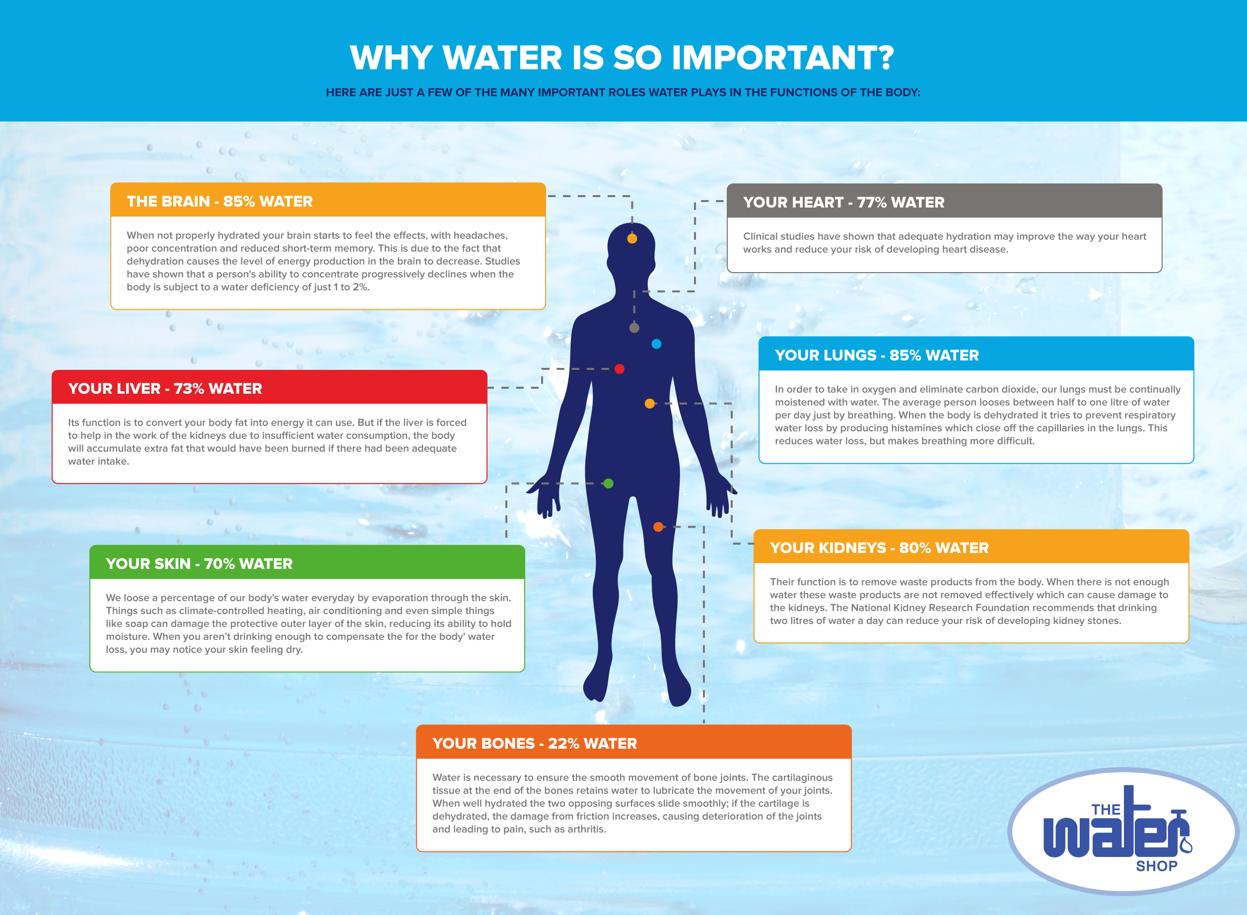 Why is water important The Water Shop Water Filter Systems Whole 